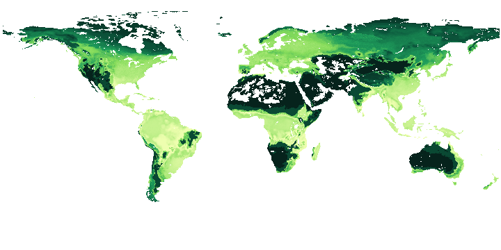 Canopy height map