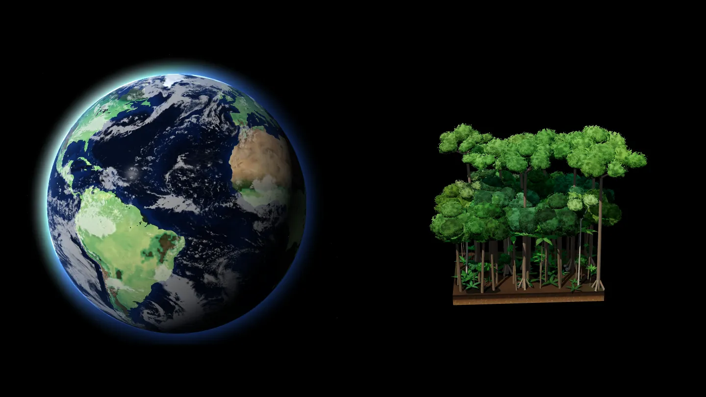 Earth emulators: the planet's weather, and DeepED's forest replayed from 1981 to 2021