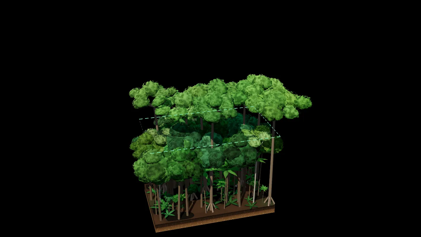 This paper's Earth system world model: the forest you can act on, above
